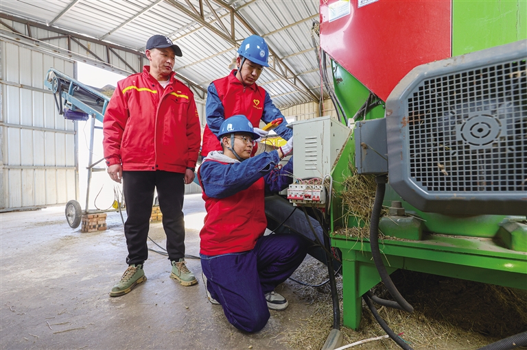 春归草原迎新生