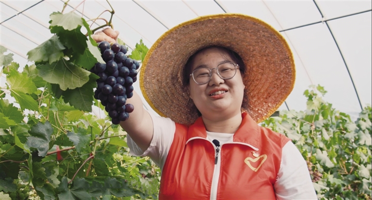 电力助农 金秋一派好“丰”光