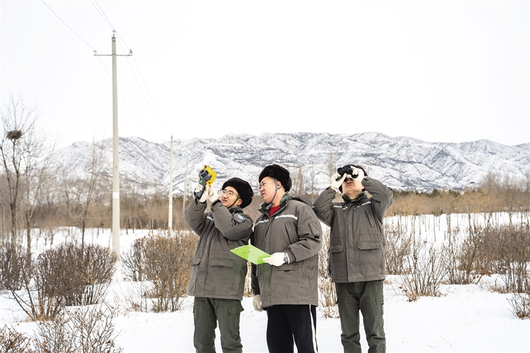 以雪为令   守护电网安全