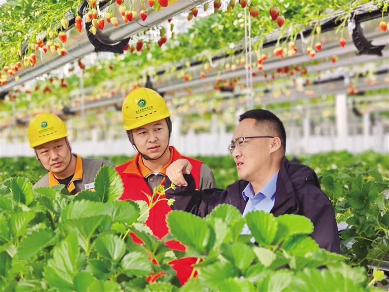 春查消缺护春耕