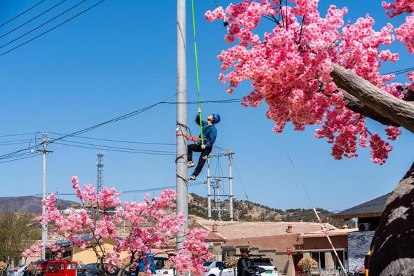 线路巡视护航春耕