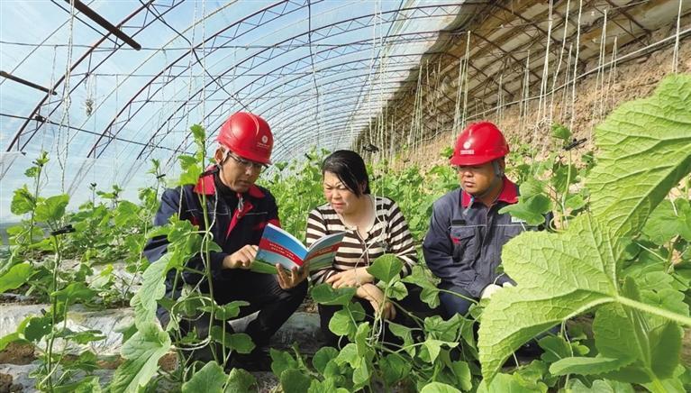 “充足电”育好香瓜产业“致富苗”