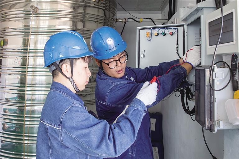 满格电让牛羊全年享“鲜草盛宴”