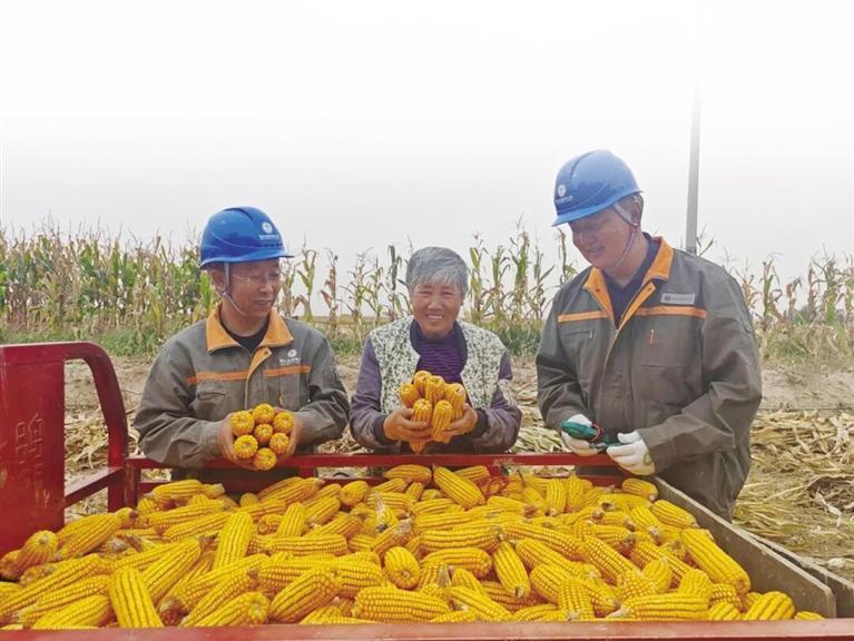  电能描绘秋收好“丰景”